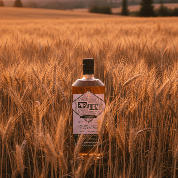 Chapter 3: THE WANDERING RYE (Now Available for Pre - Order) - Paradigm Spirits Co.