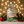 Load image into Gallery viewer, Peppermint White Chocolate Vodka - Paradigm Spirits Co.
